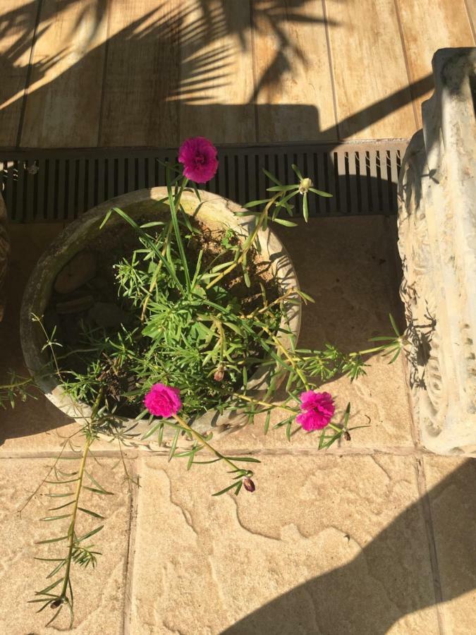 Pousada Florestinha Tamoios Esterno foto